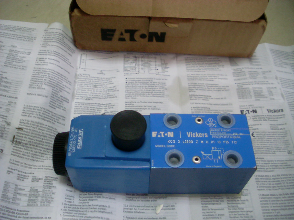 SL373887.JPG