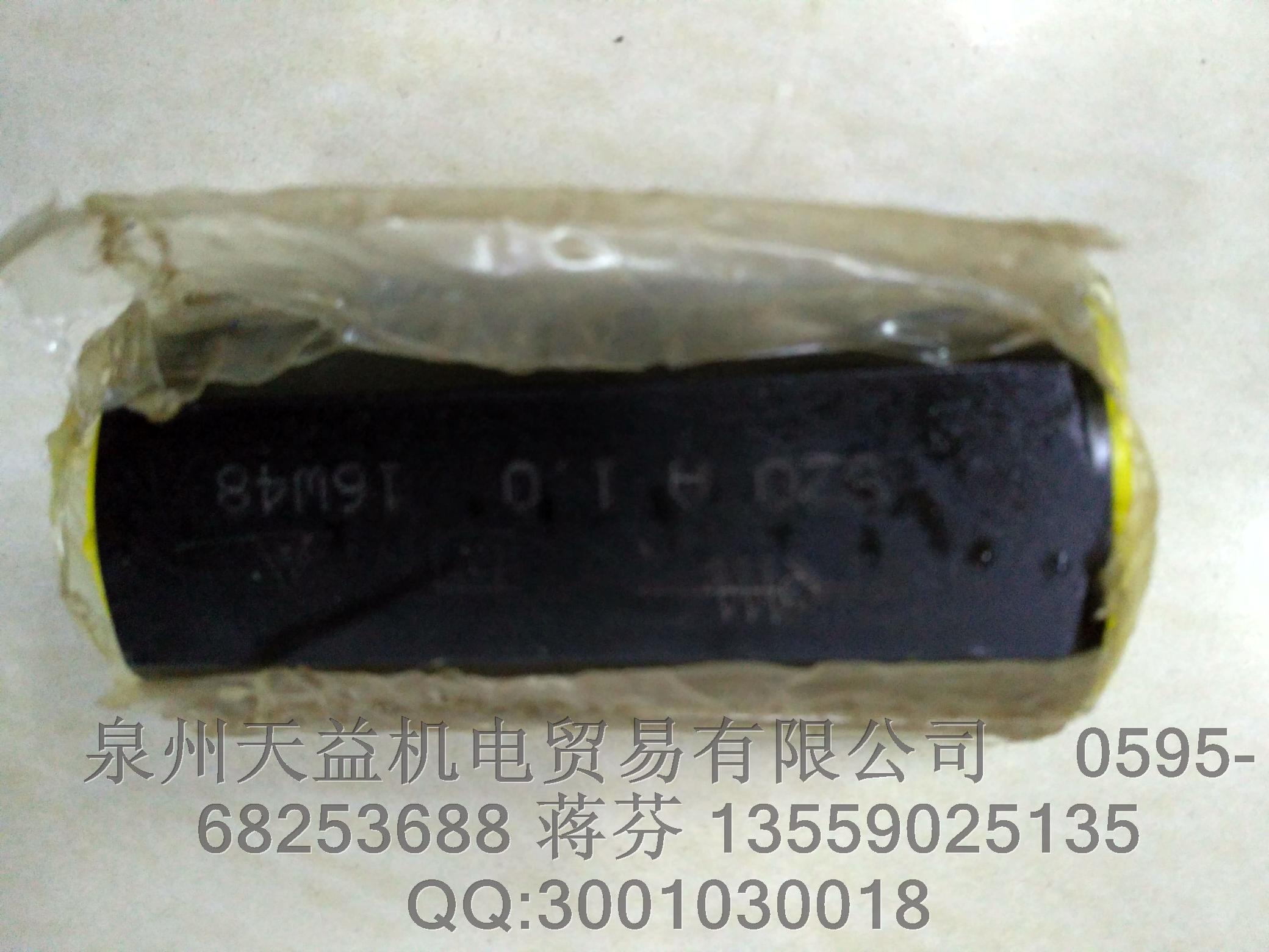 力士樂單向閥 SZ0 A 1.0.JPG 力士樂單向閥 SZ0 A 1.0.JPG